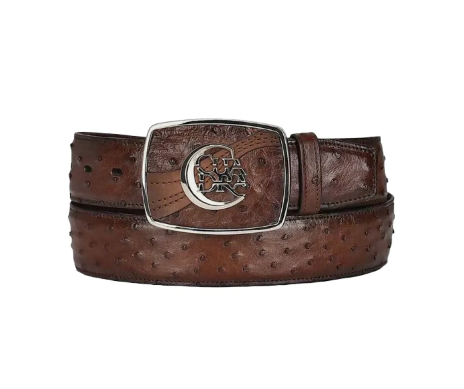 Cuadra BC307 MN Moroni Chestnut Ostrich Exotic Strip Belt