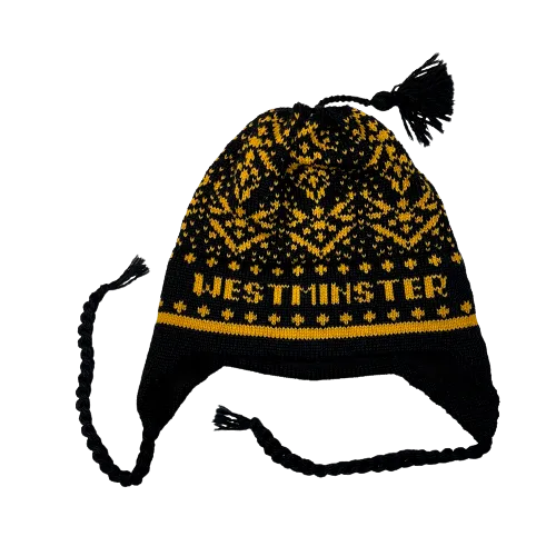 Knit Hat with Earflaps