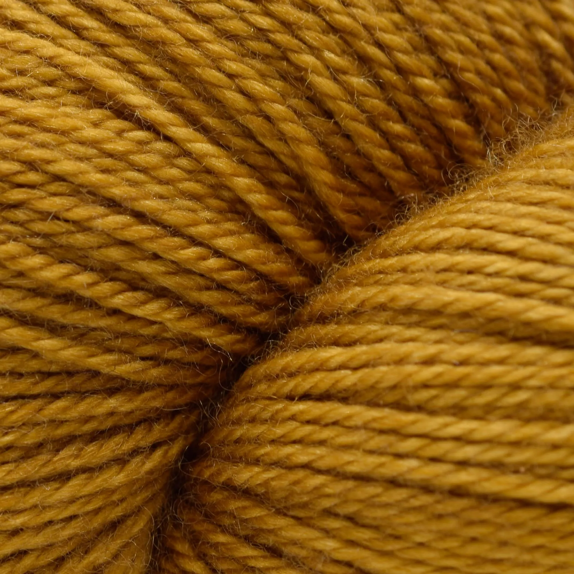 Pashmina