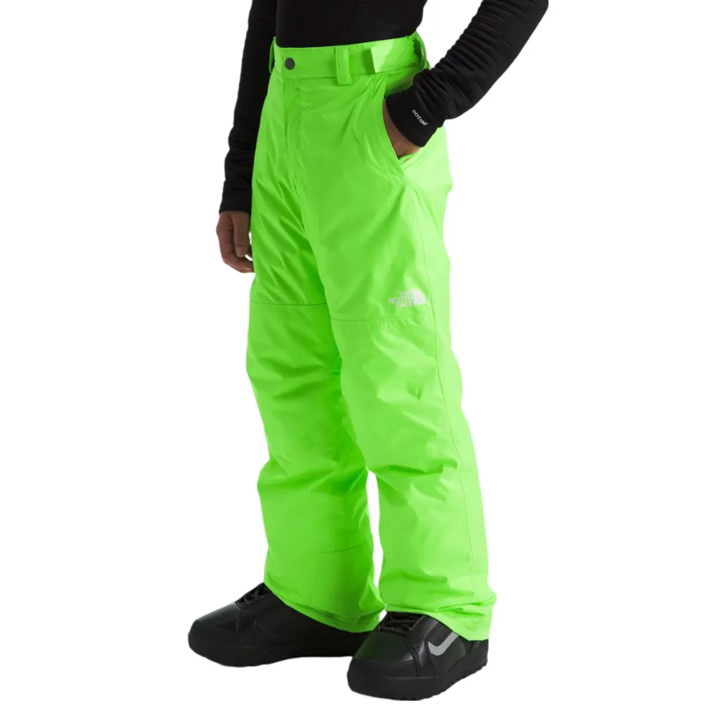 The North Face Boys' Freedom Insulated Pant
